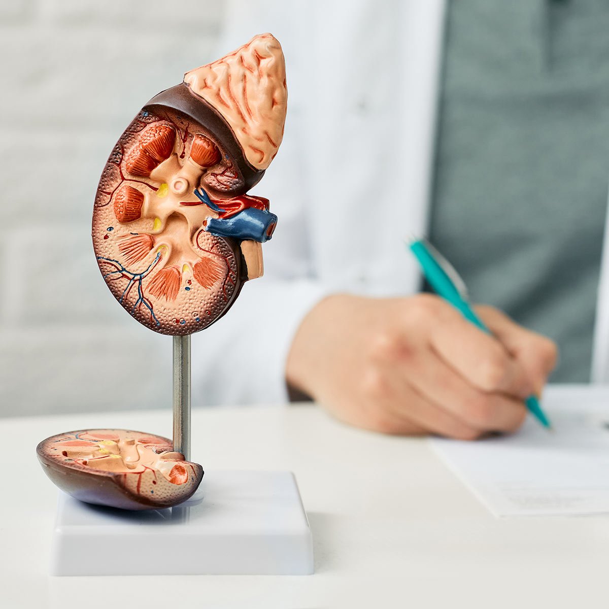 Urology Clinic